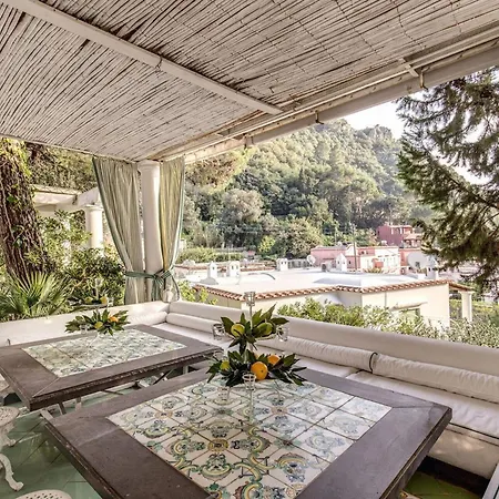 Felicia * קאפרי